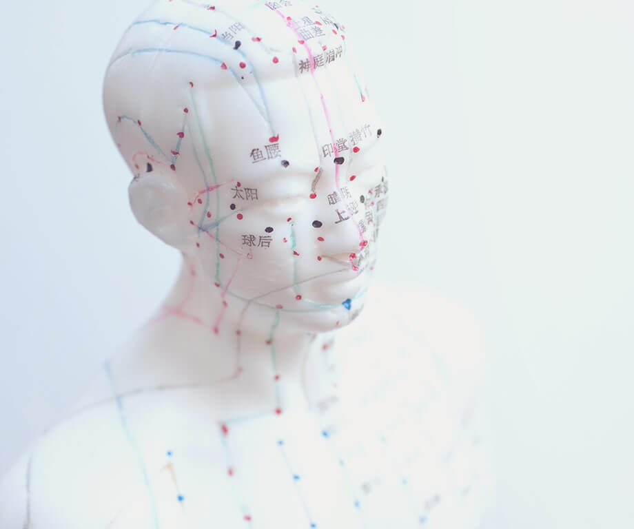 Face and torso of plastic doll with acupuncture points drawn and labeled with Chinese characters