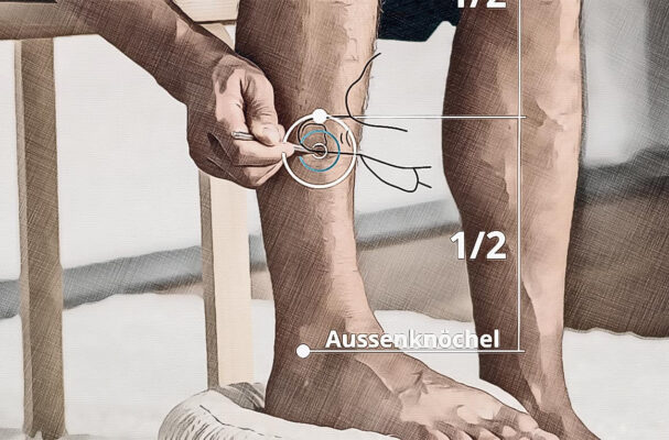 Location acupuncture point St 39 graphic